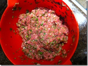 meatballsmix (1)